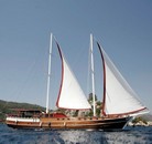 Hayalim D