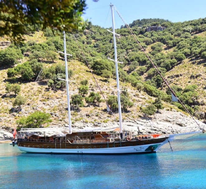Deniz Felix Balina