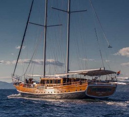 Stella Maris