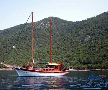 Ariva (ex Aylin Mary)