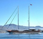 Kayhan 11