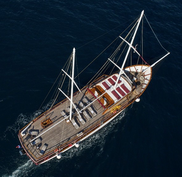 Cataleya (Ex Vjeko)
