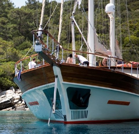 Estrella de Mar